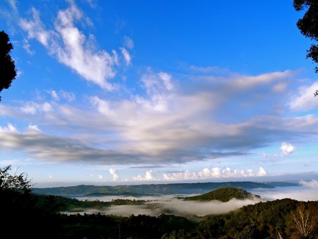 Maleny Luxury Cottages Oda fotoğraf