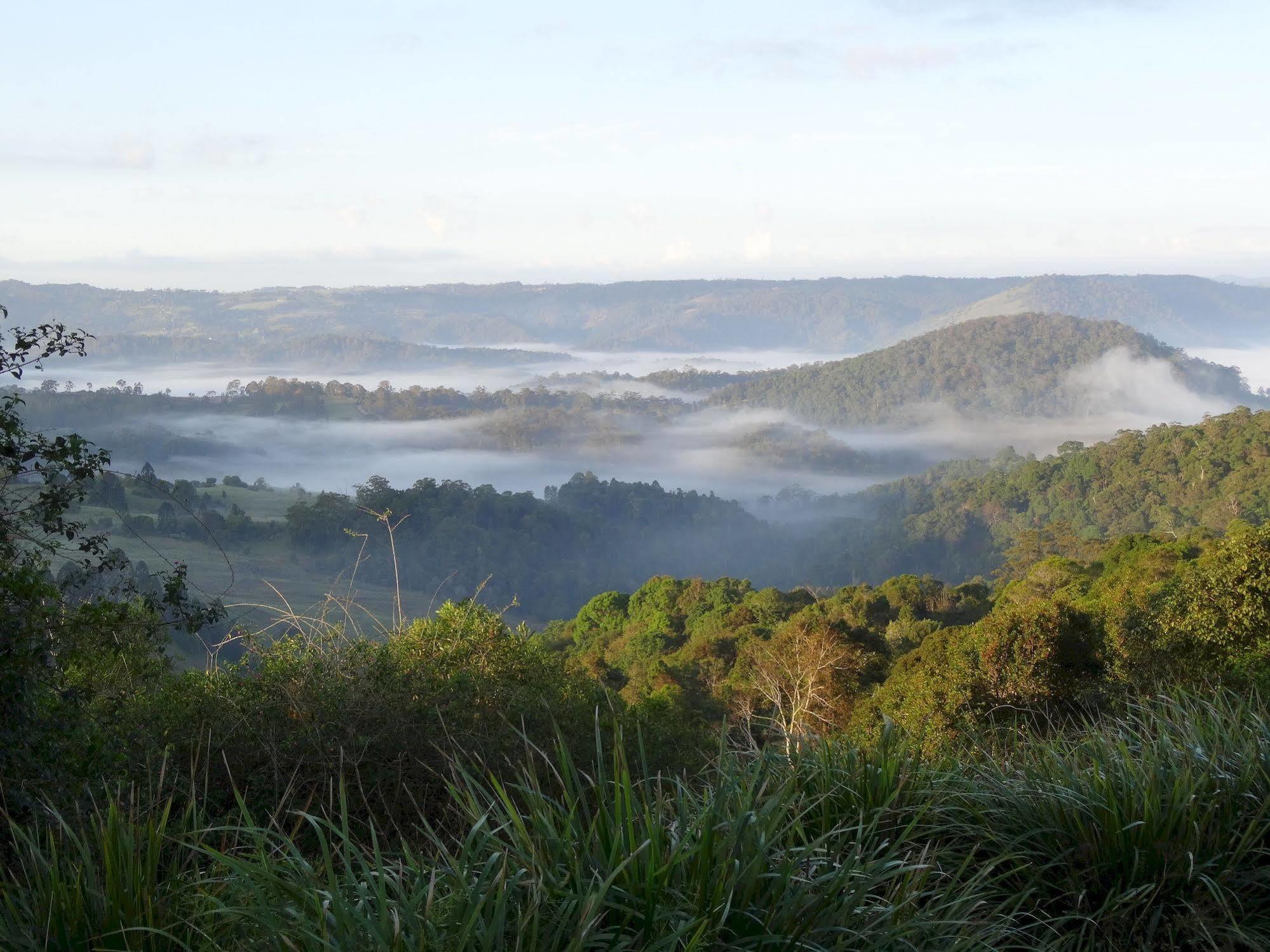 Maleny Luxury Cottages Dış mekan fotoğraf