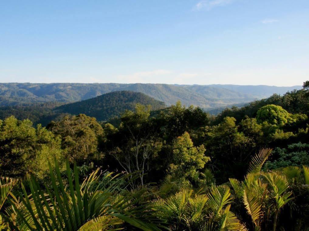 Maleny Luxury Cottages Dış mekan fotoğraf